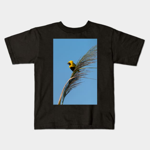 Golden Bishop bird Kids T-Shirt by homydesign